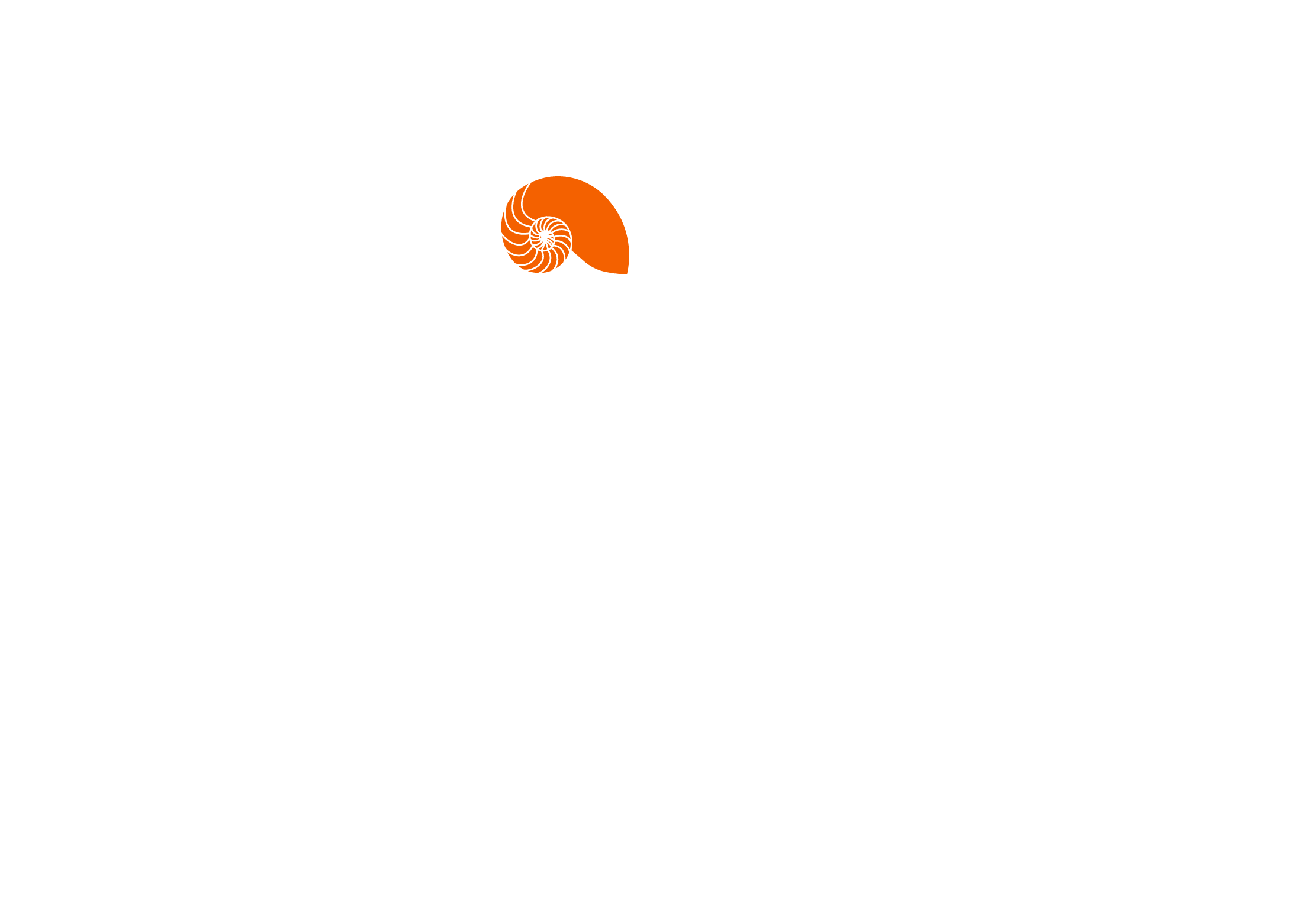 Tide Studio