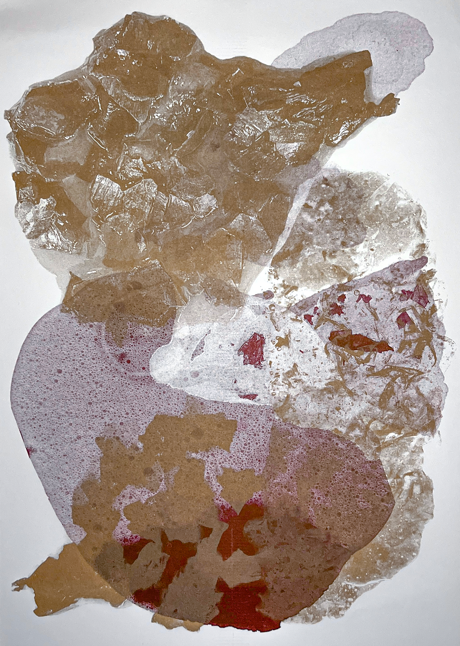 risoprinted collage of biomaterials 1/2