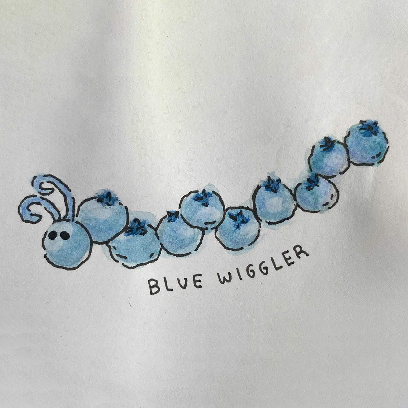 Blue Wiggler (watercolor, December 2024)