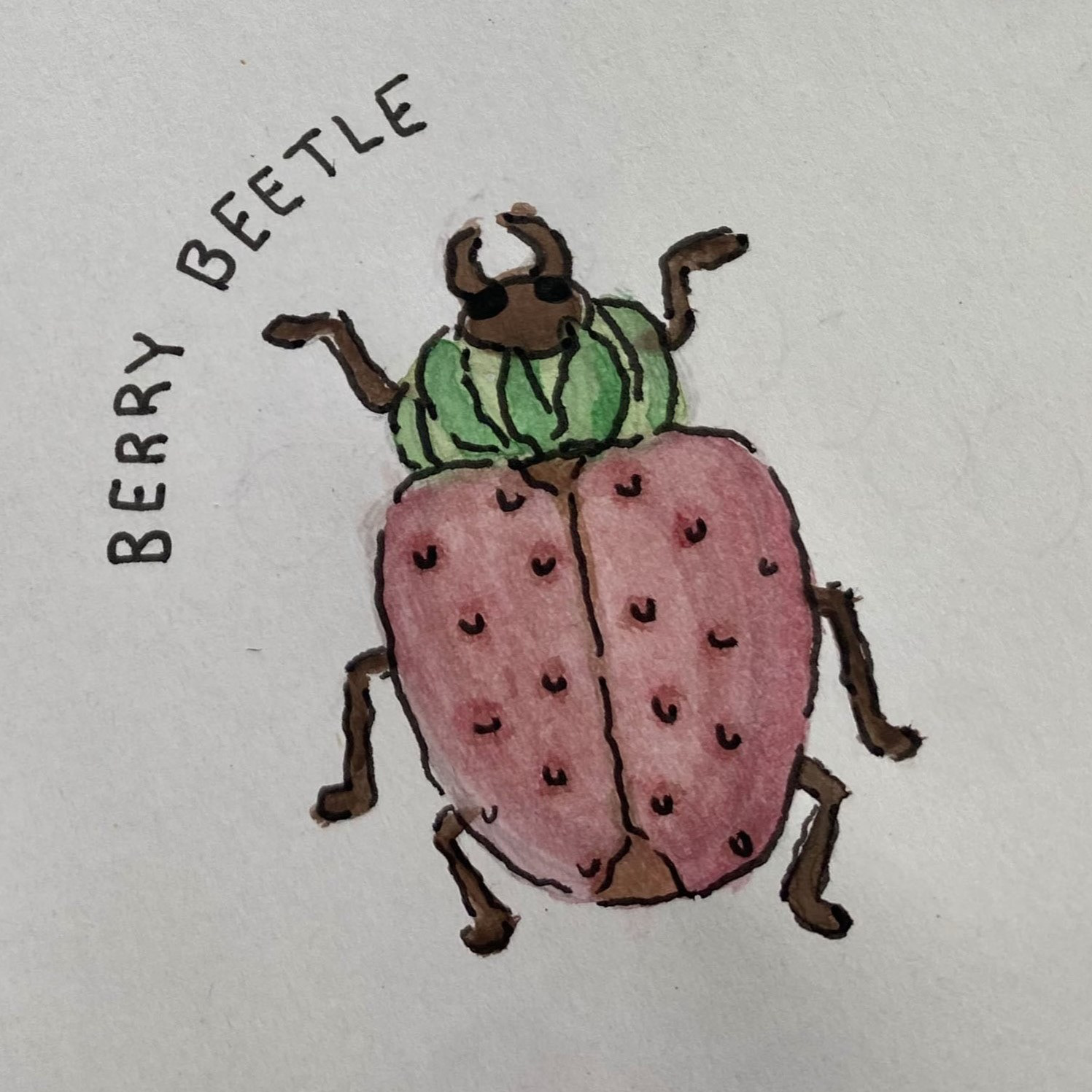 Berry Beetle (watercolor, December 2024)