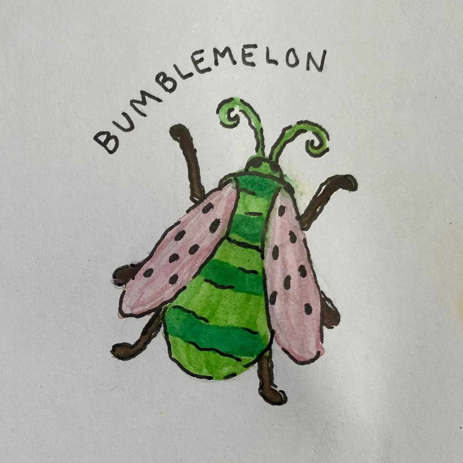 Bumblemelon (watercolor, December 2024)