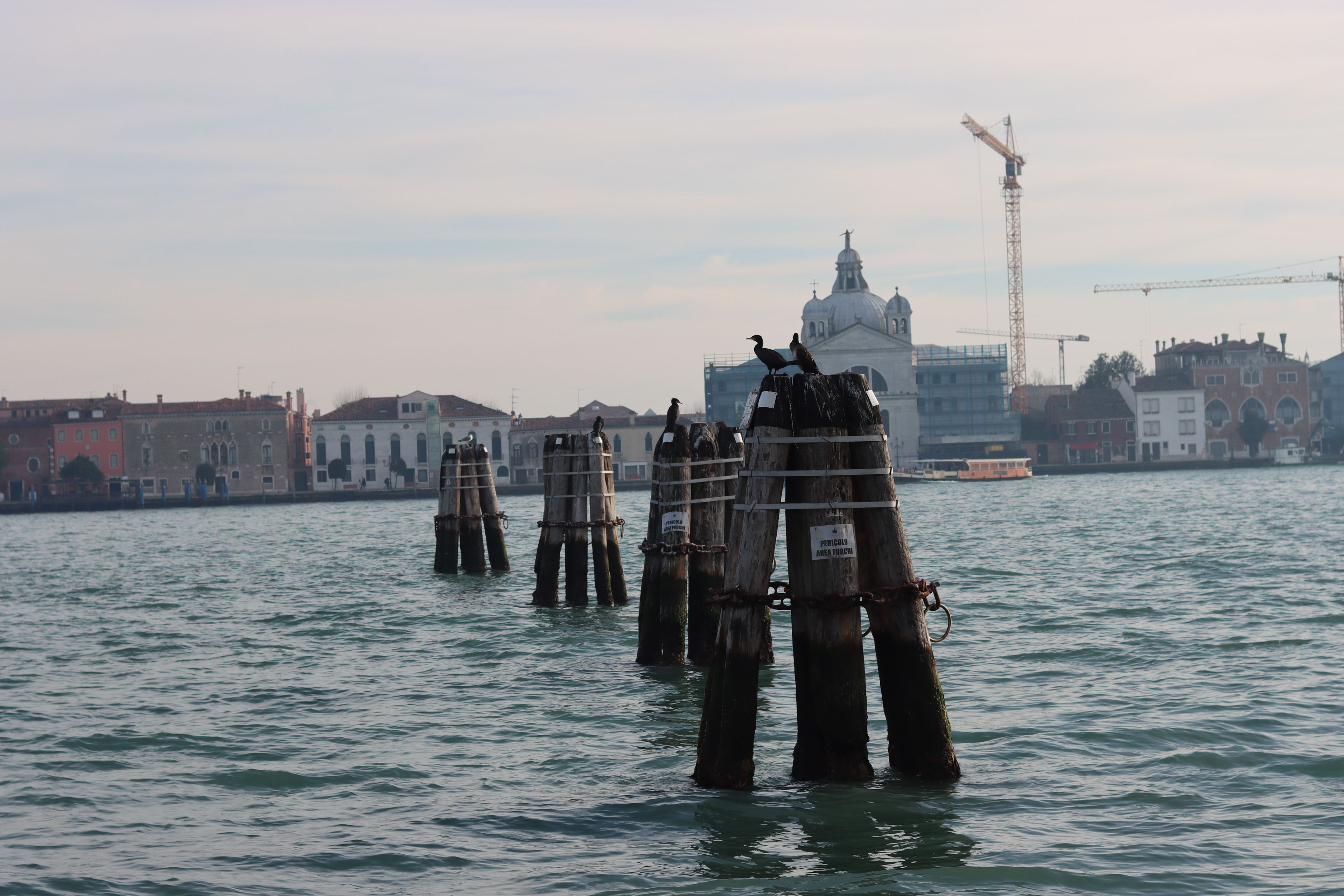 They look like Daleks!