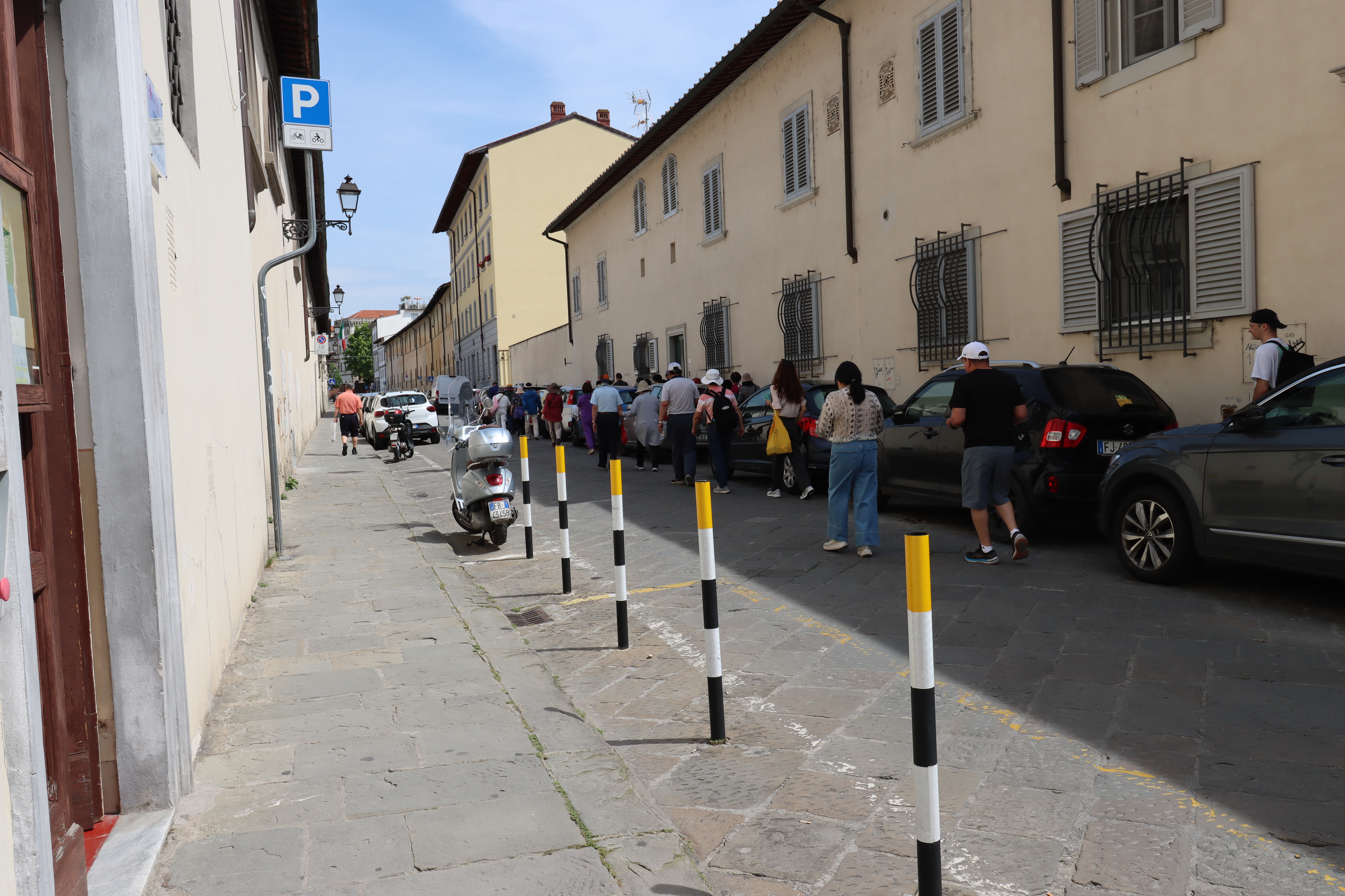 Stay still long enough and you get stampeded