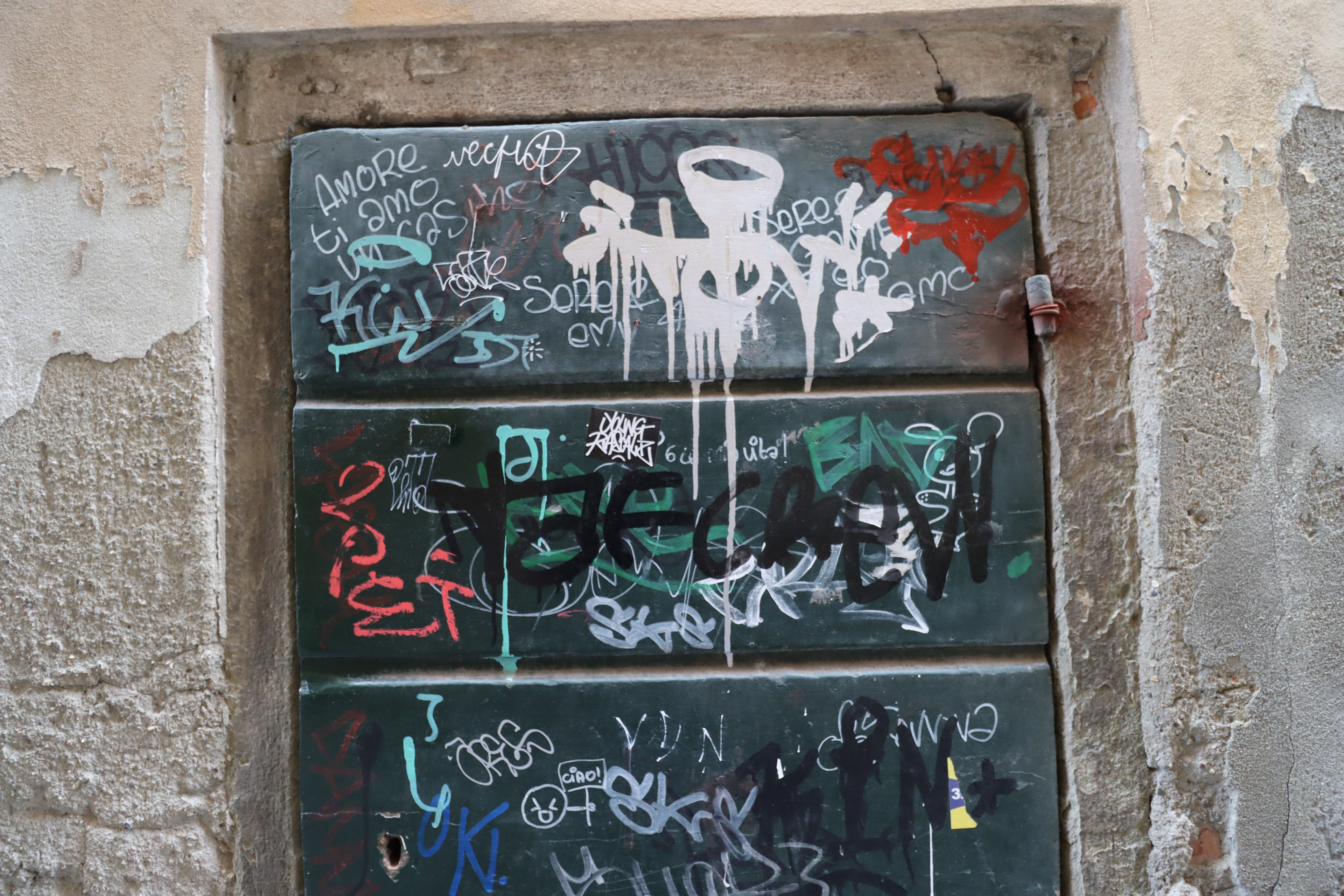 I collect images of graffitied doors