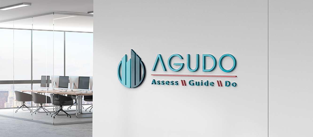 Agudo Logo instue example