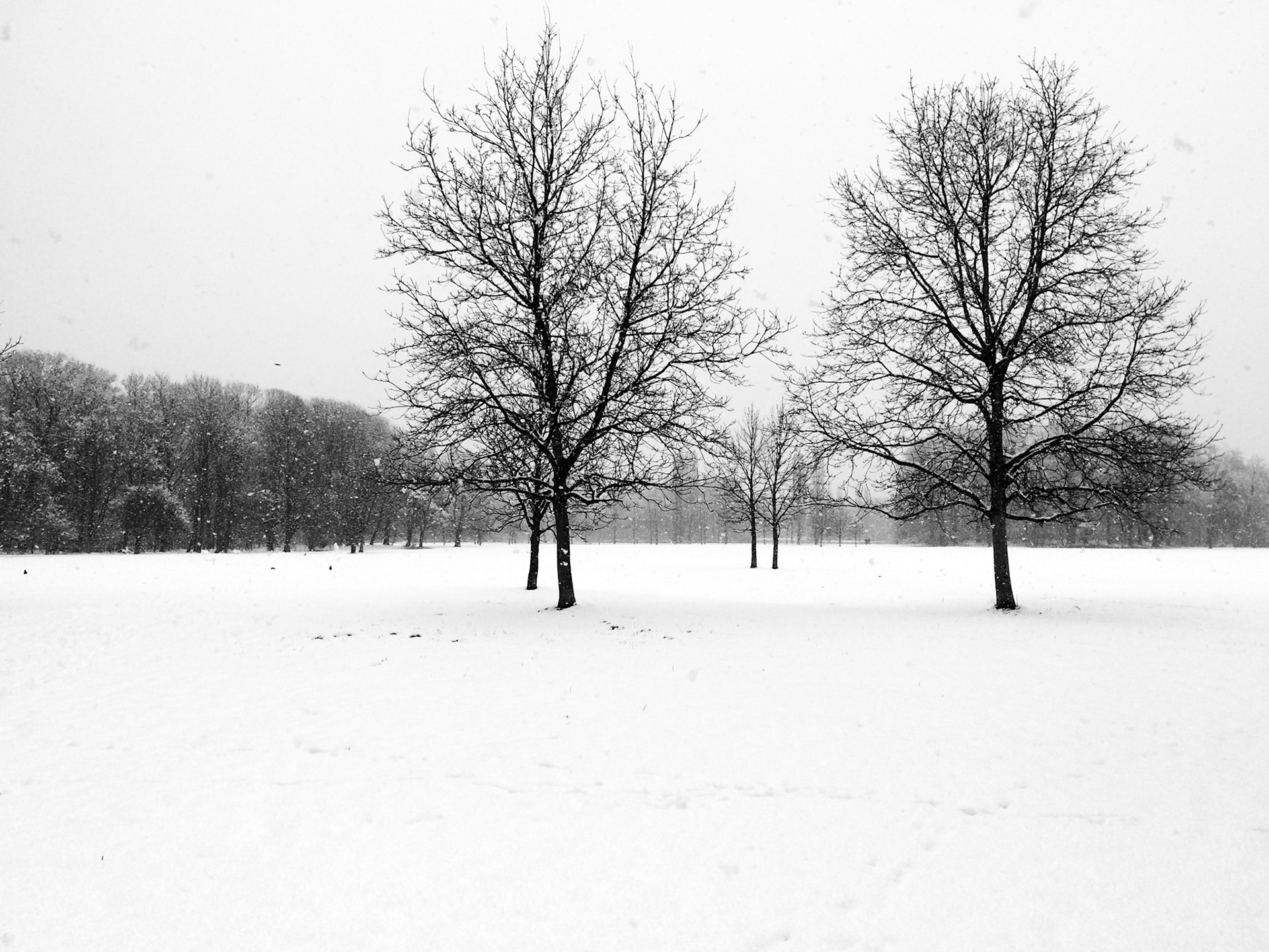 English Garden / Munique / Alemanha (2016)