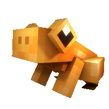 Orange Frog Pet