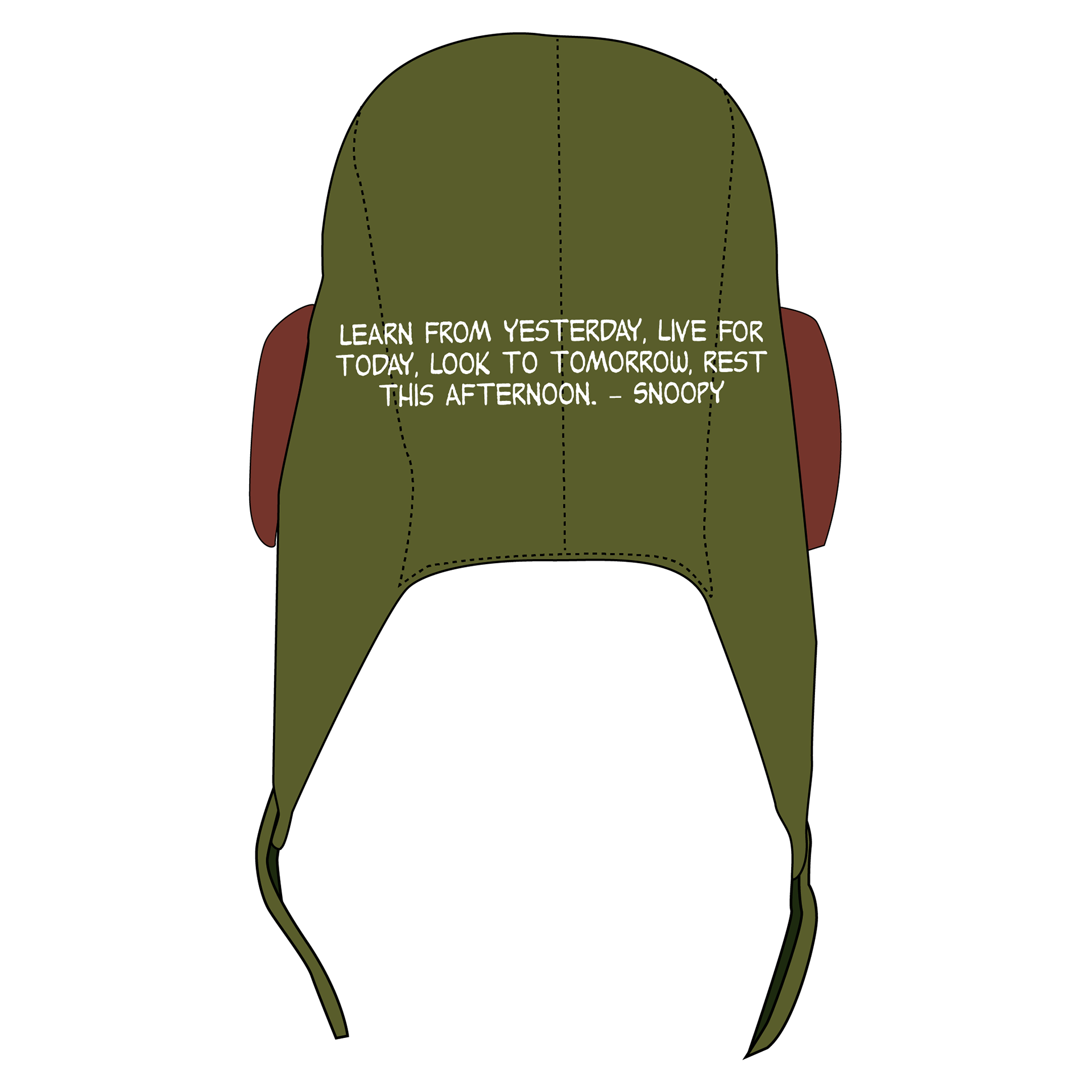 Back view of pilot's cap
