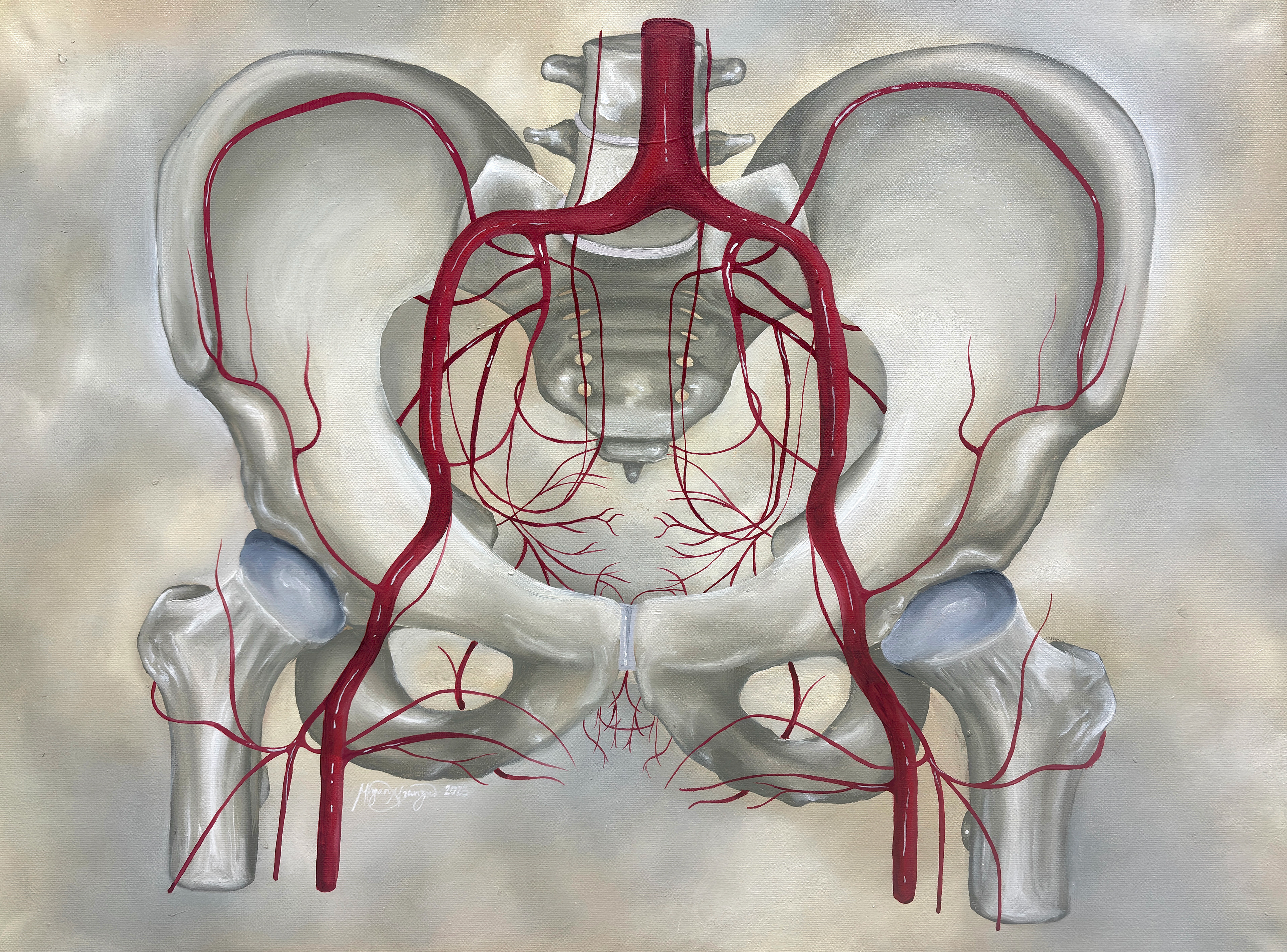 Anatomy of the Thigh Gap (Oil Paint, 2025)