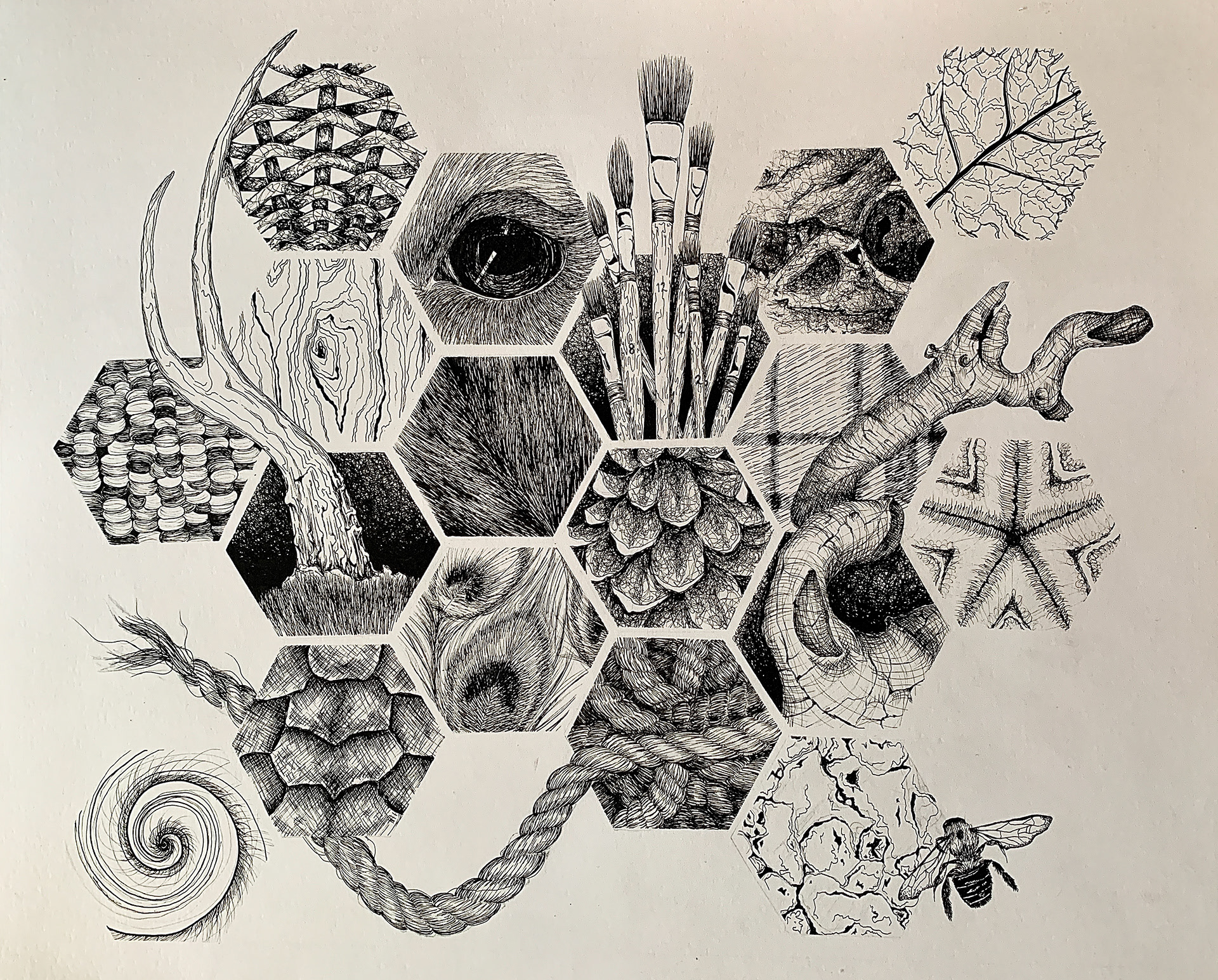 Study of Textures (2021)