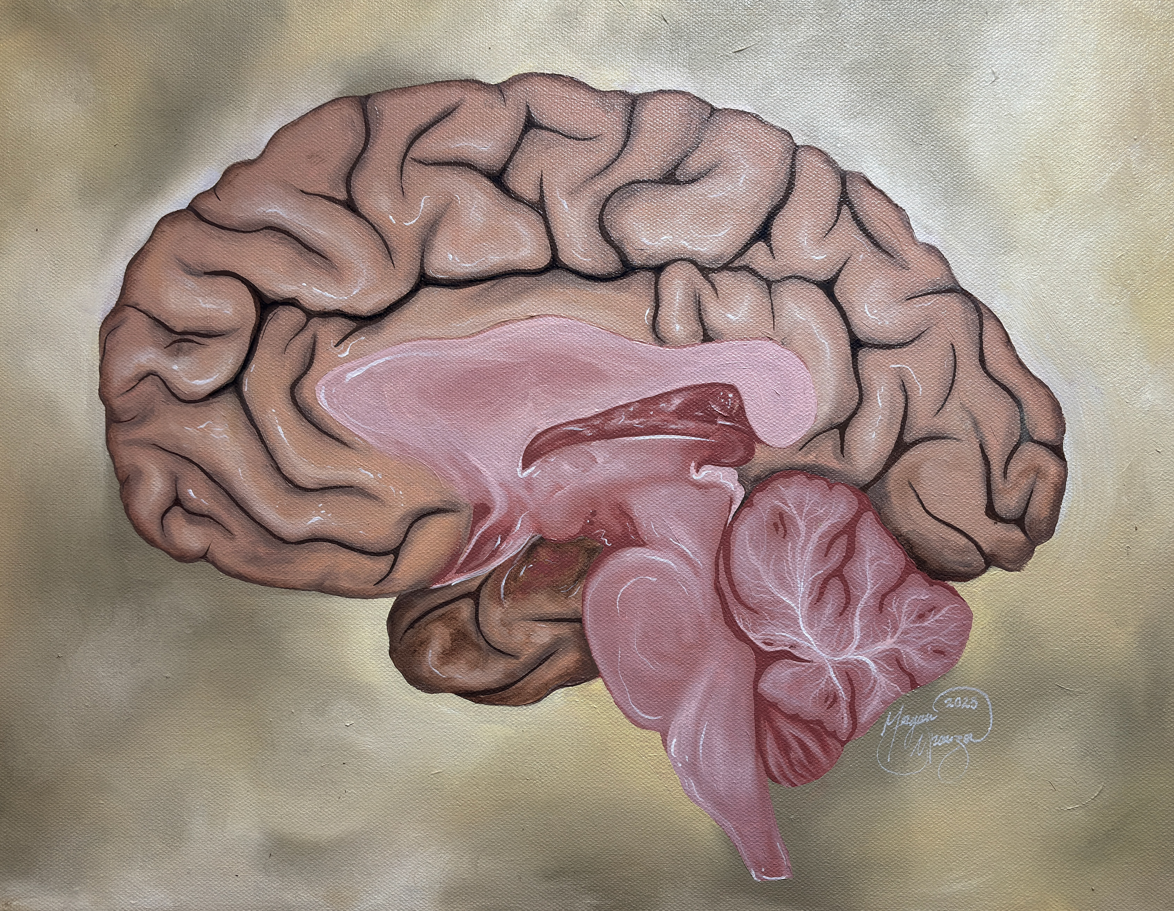 Beauty and Brains (Oil Paint, 2025)