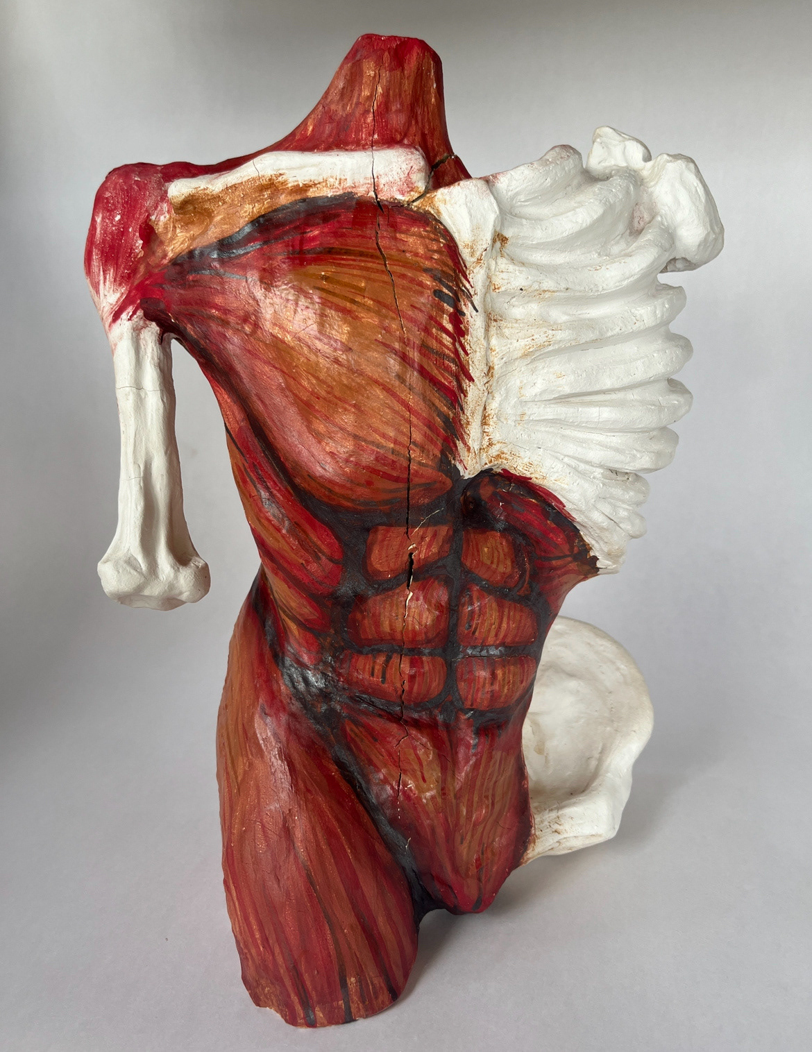 "Knowledge is Beauty", Ceramic sculpture series