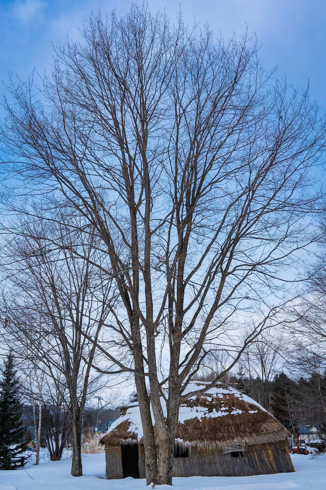 Traditional Ainu Buildings