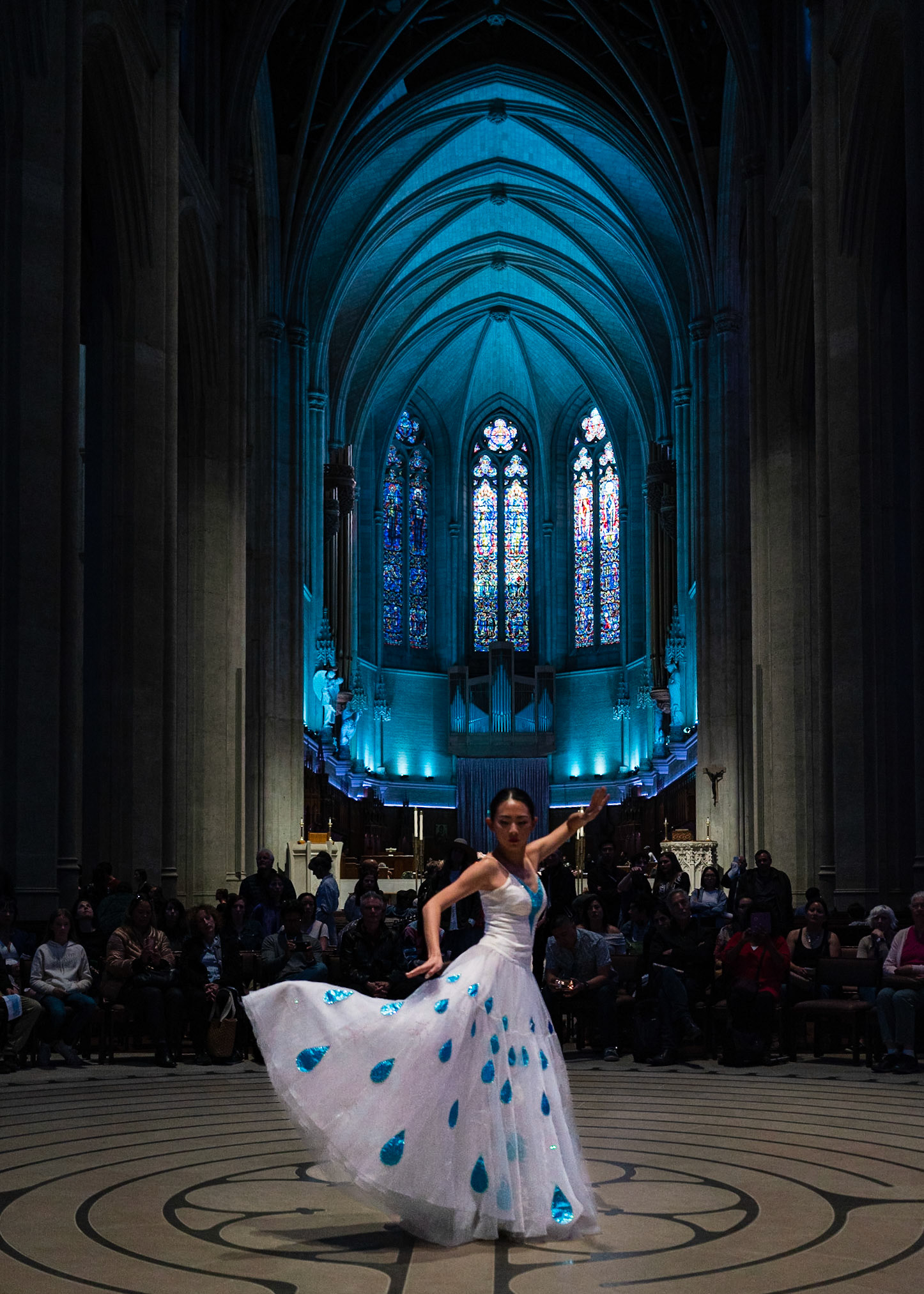 Peacock Dress - Lucy Lettuce Llama | San Francisco Movement Arts Festival