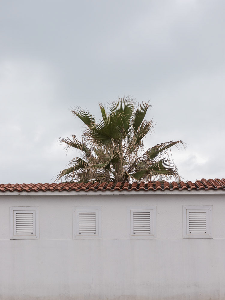Palm tree behind a building with cloudy sky