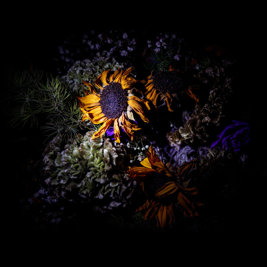 Dried bunch of flower in low light