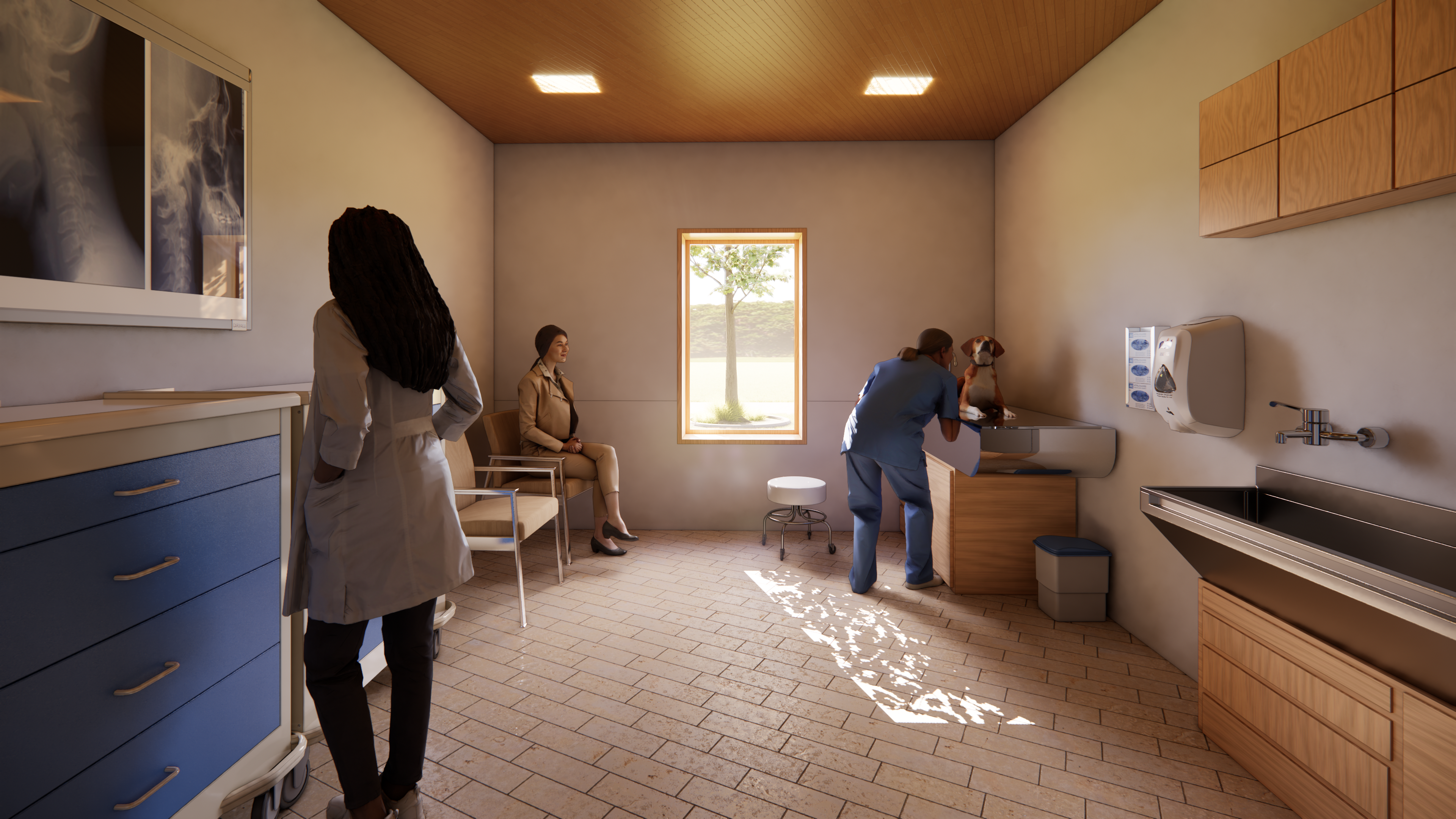 Pet Exam Room 1