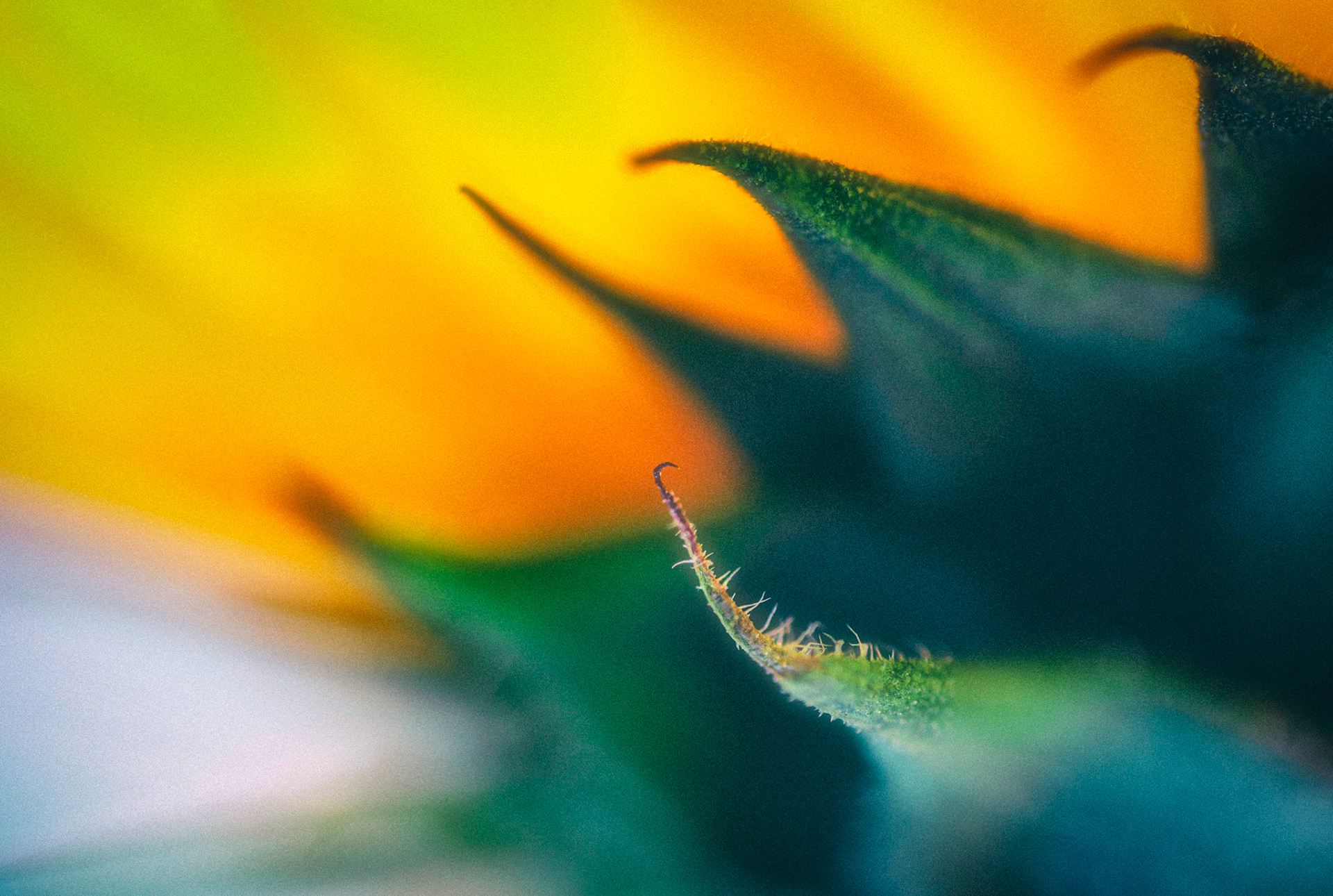 September 24 - 268/366