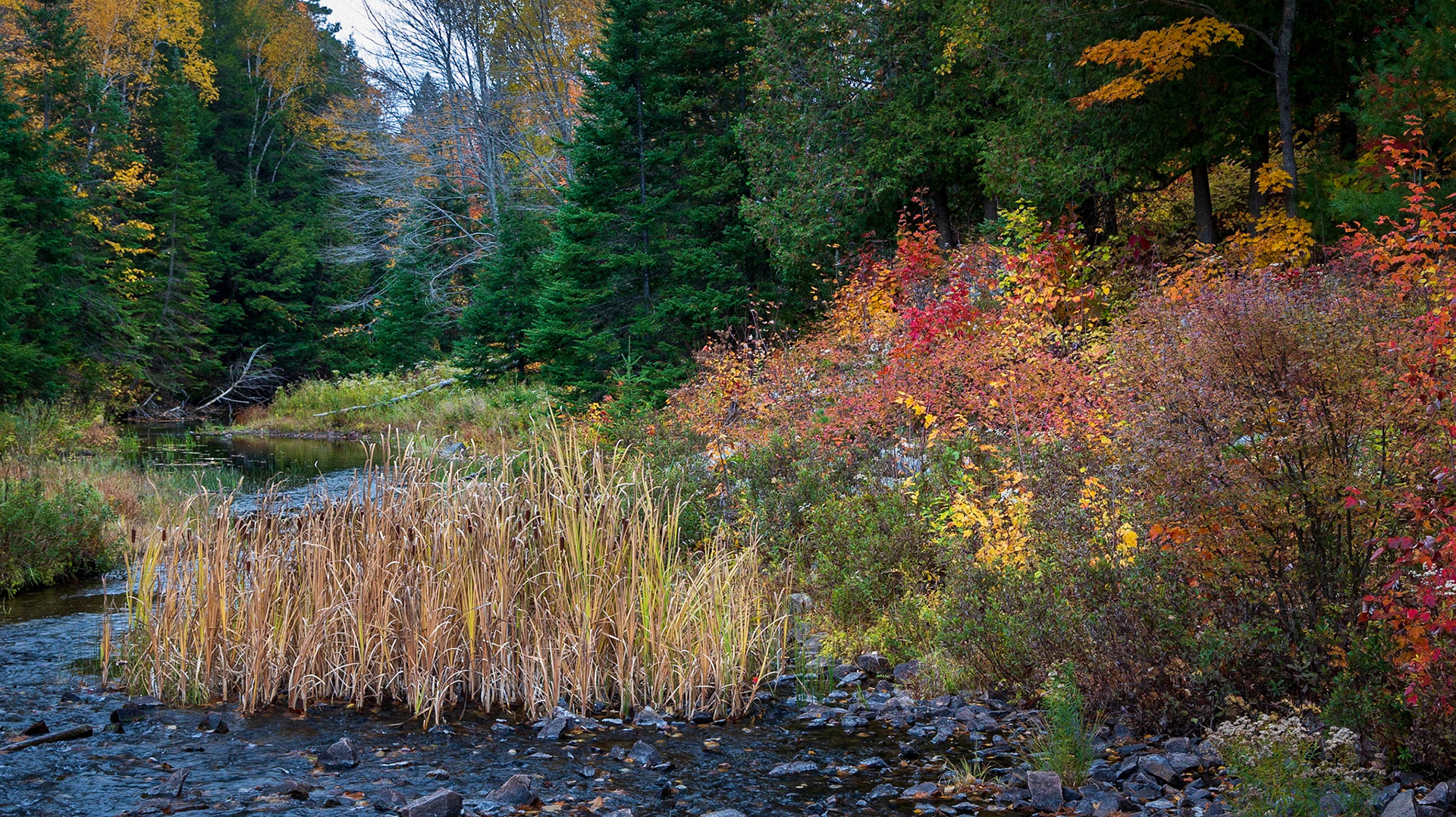 October 12 - 286/366