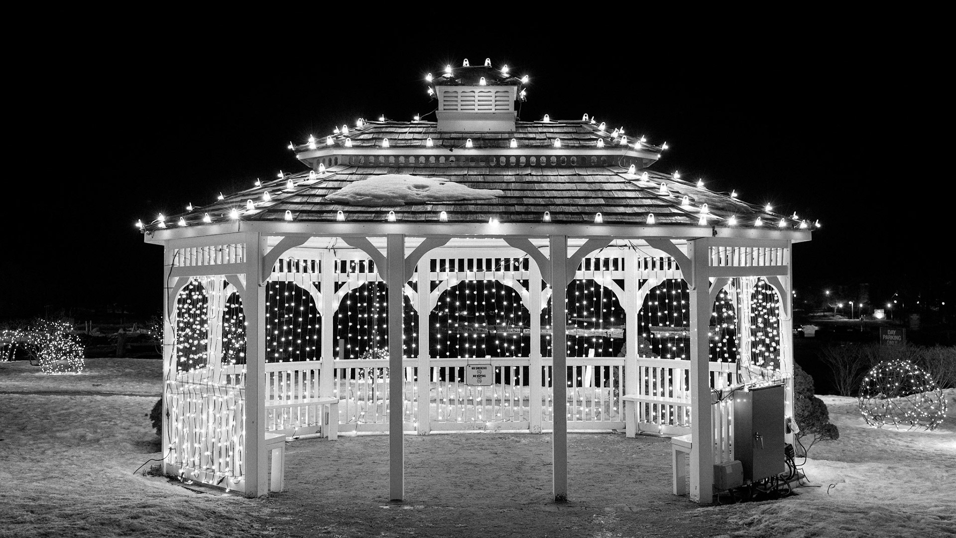 February 25 - 56/366