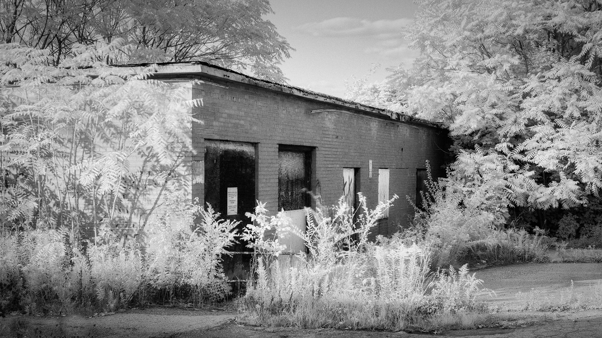 September 14 - 258/366