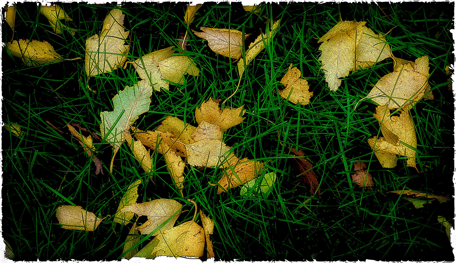 November 1