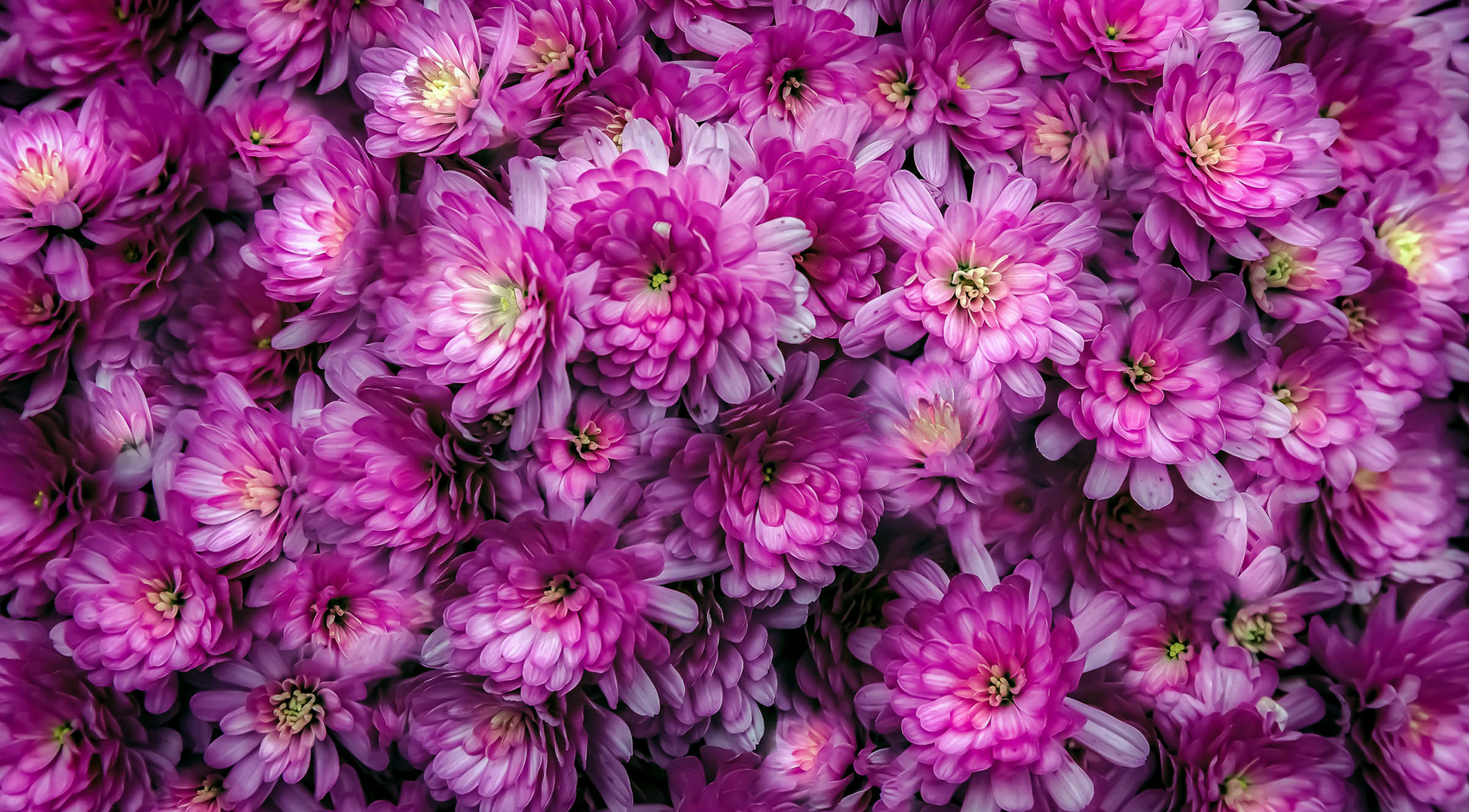 September 13