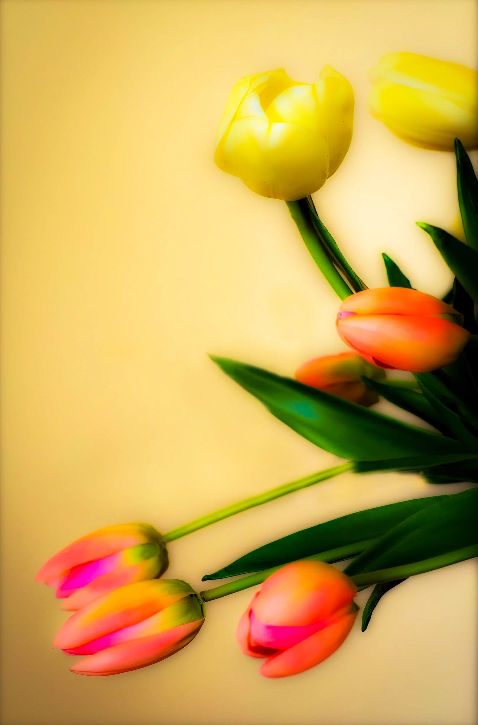 March 31