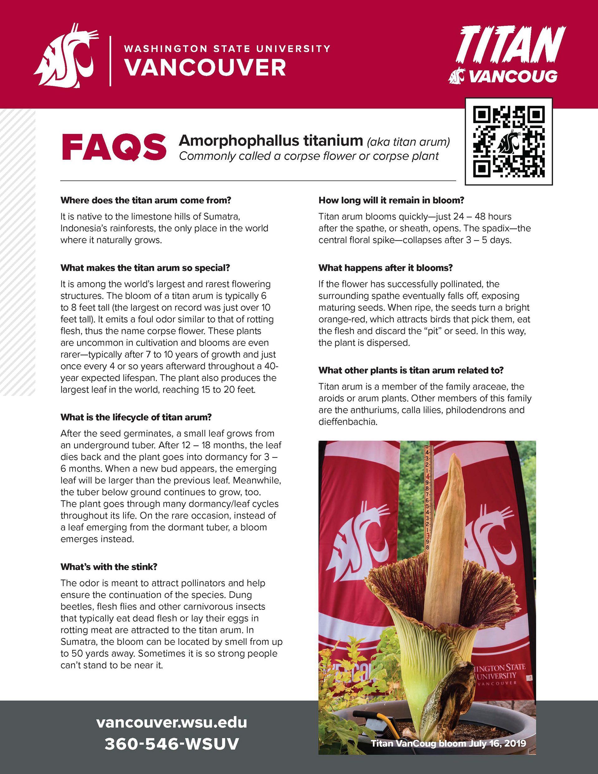 Informational flyer for Titan VanCoug