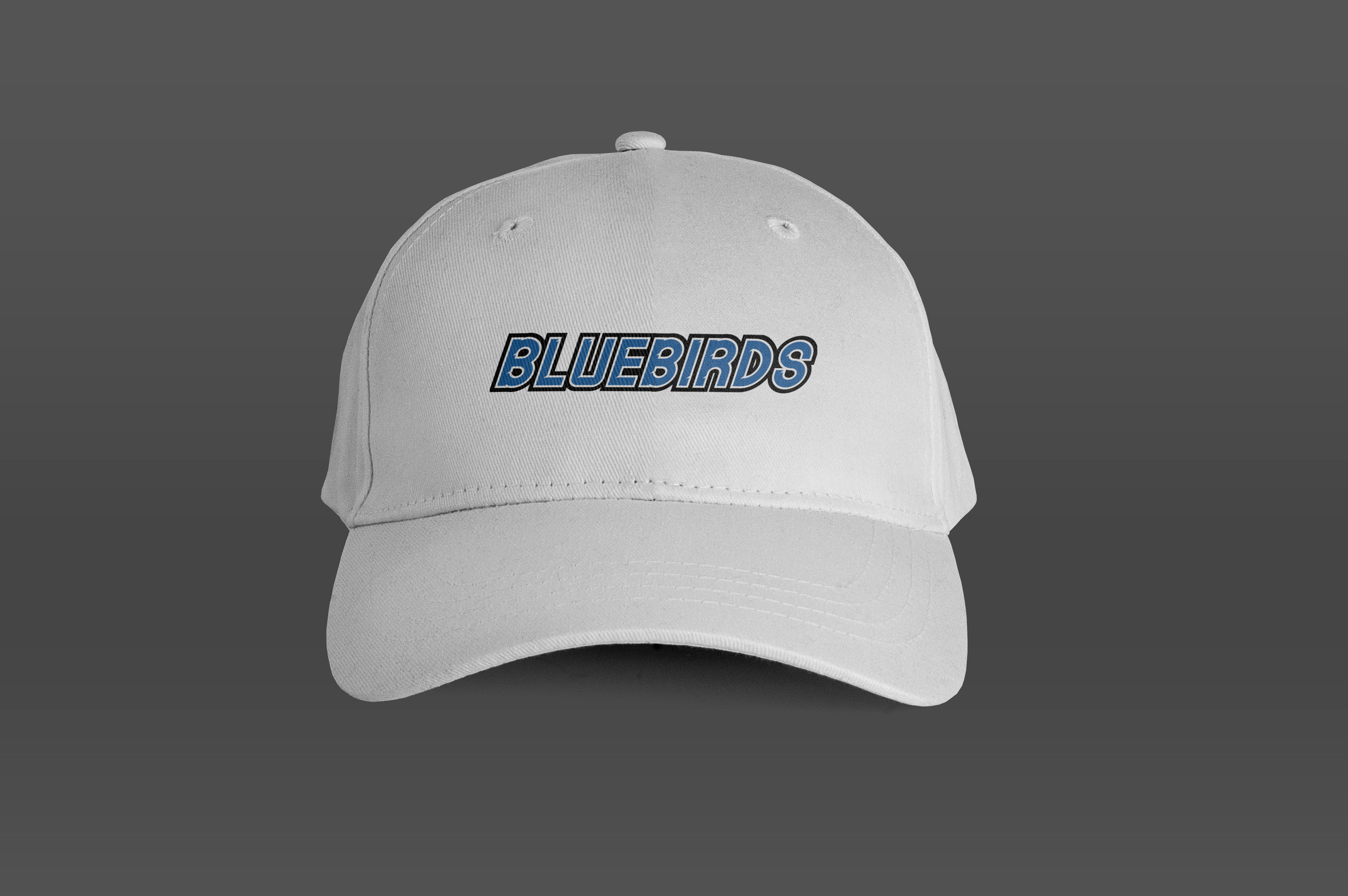 Hat W/Logotype