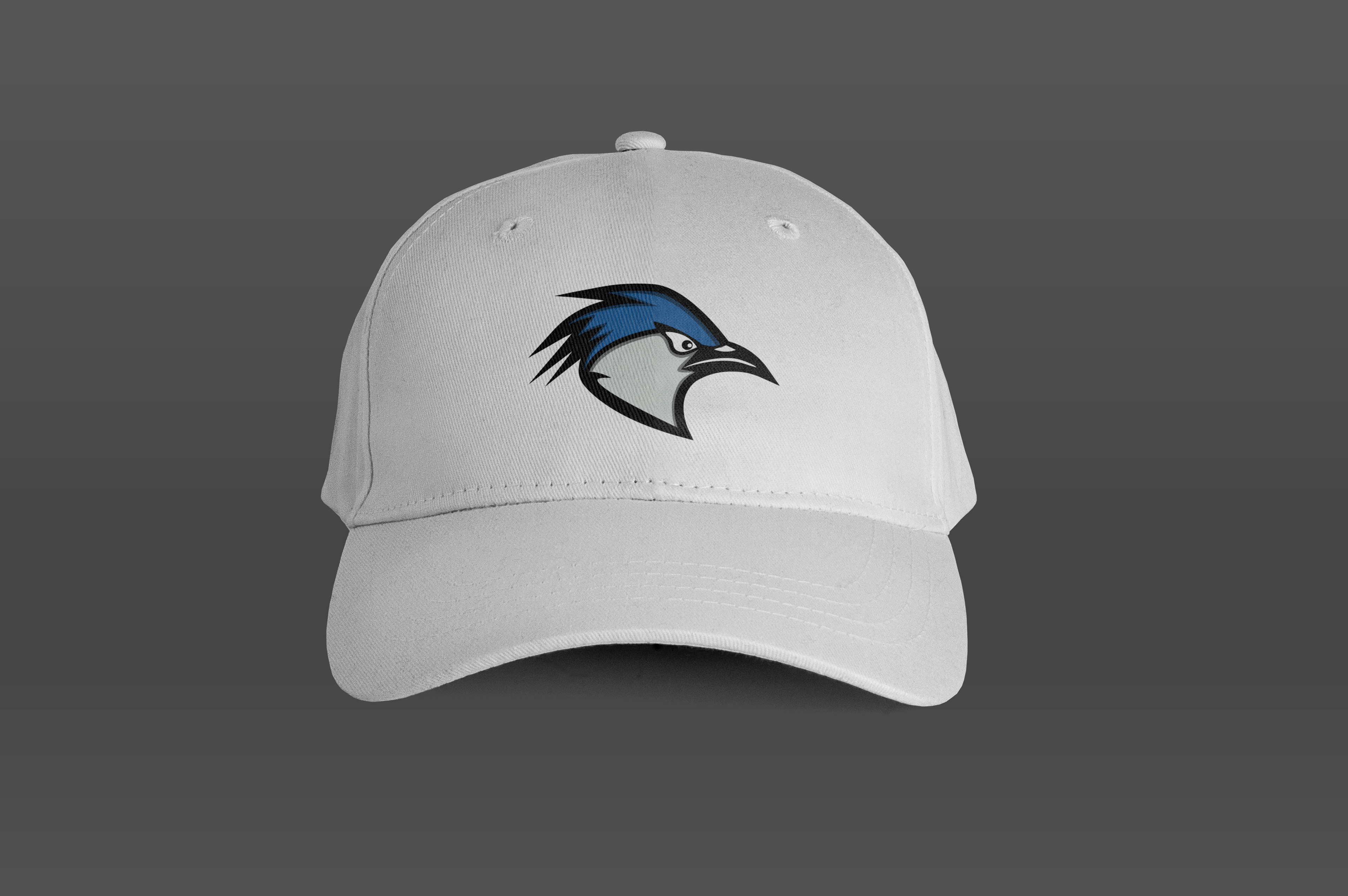 Hat W/ Logo