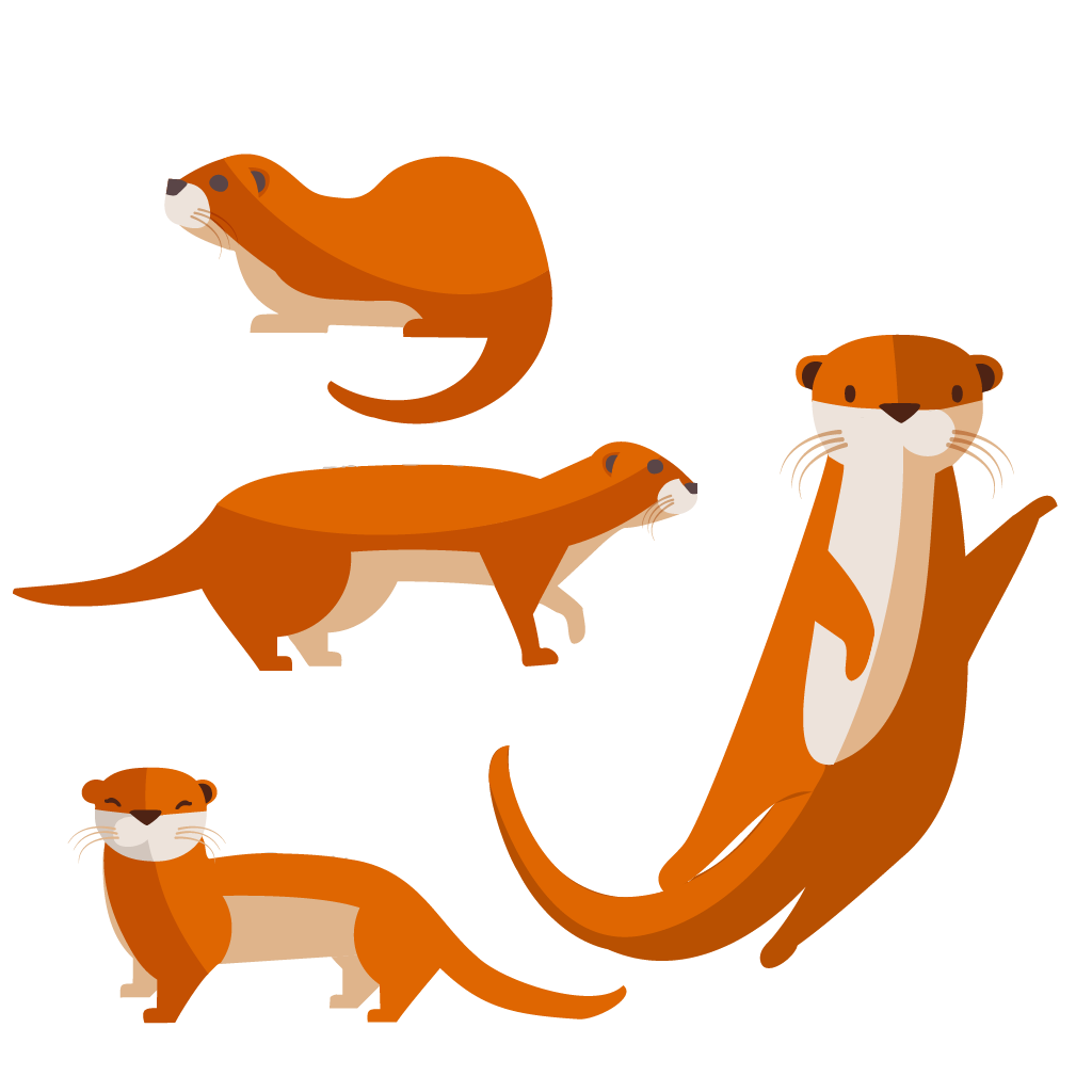 Adobe Illustrator | 2026