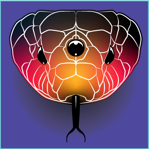 Adobe Illustrator | 2025