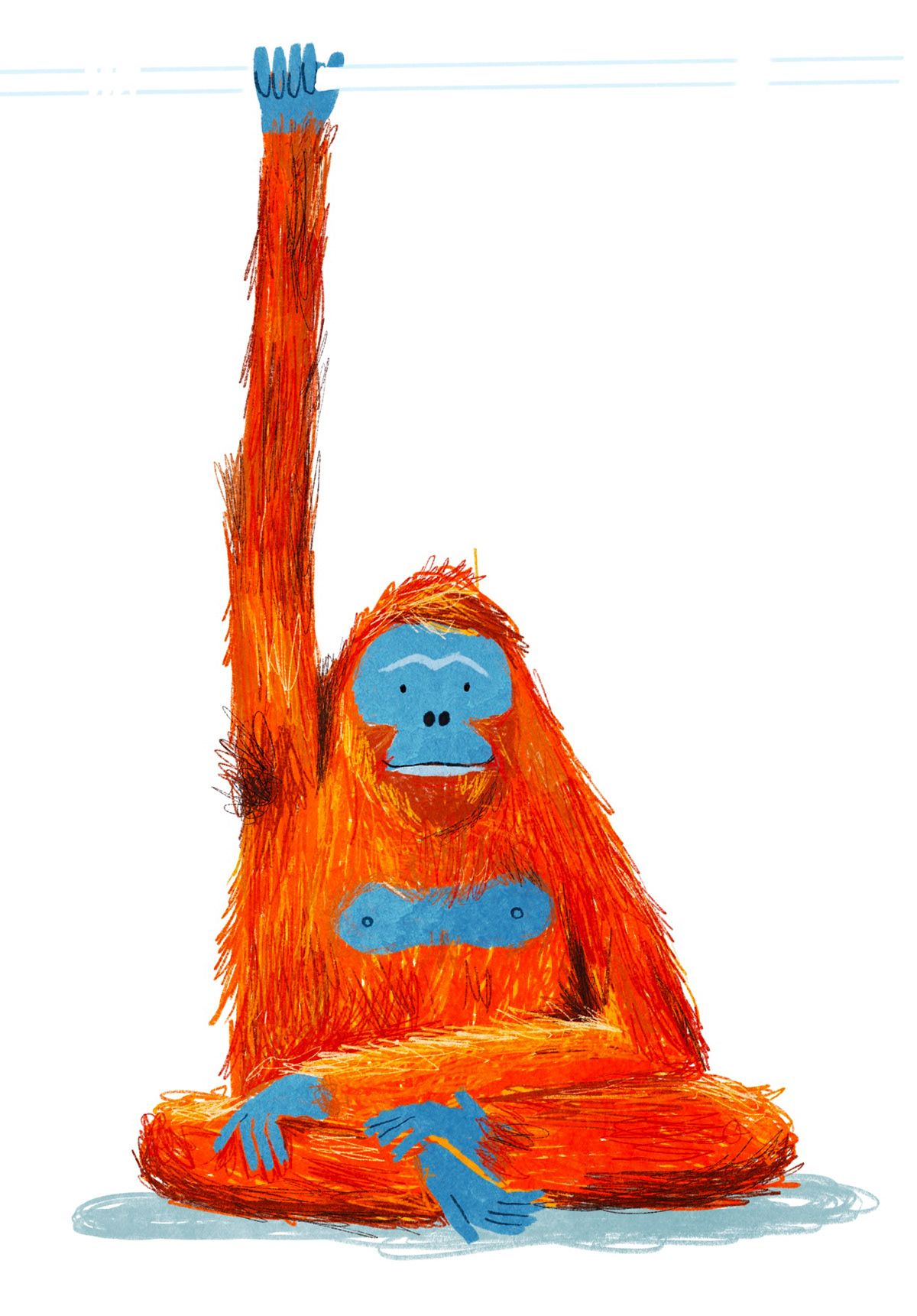 Orangutan on a train