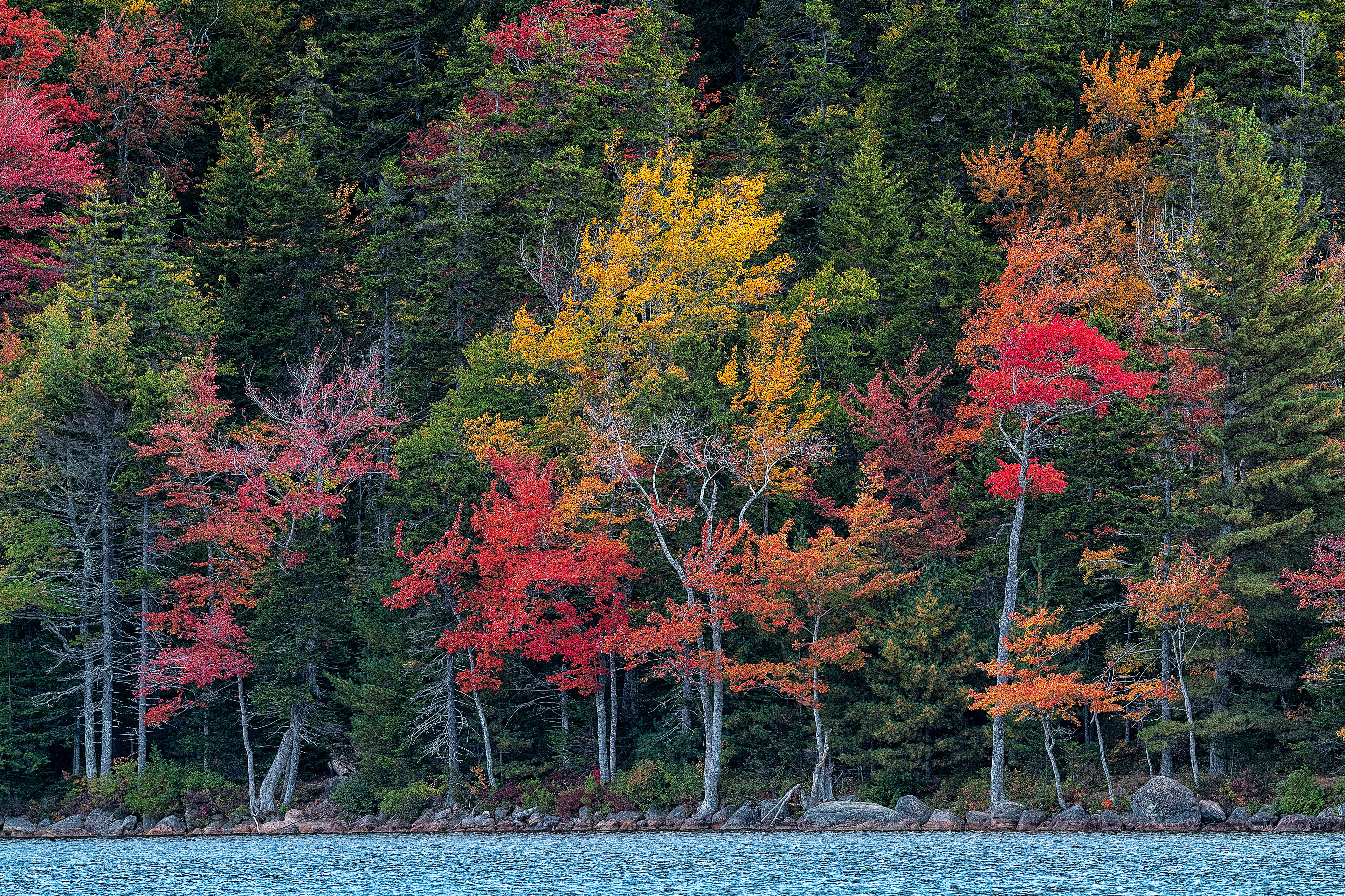 Acadia NP