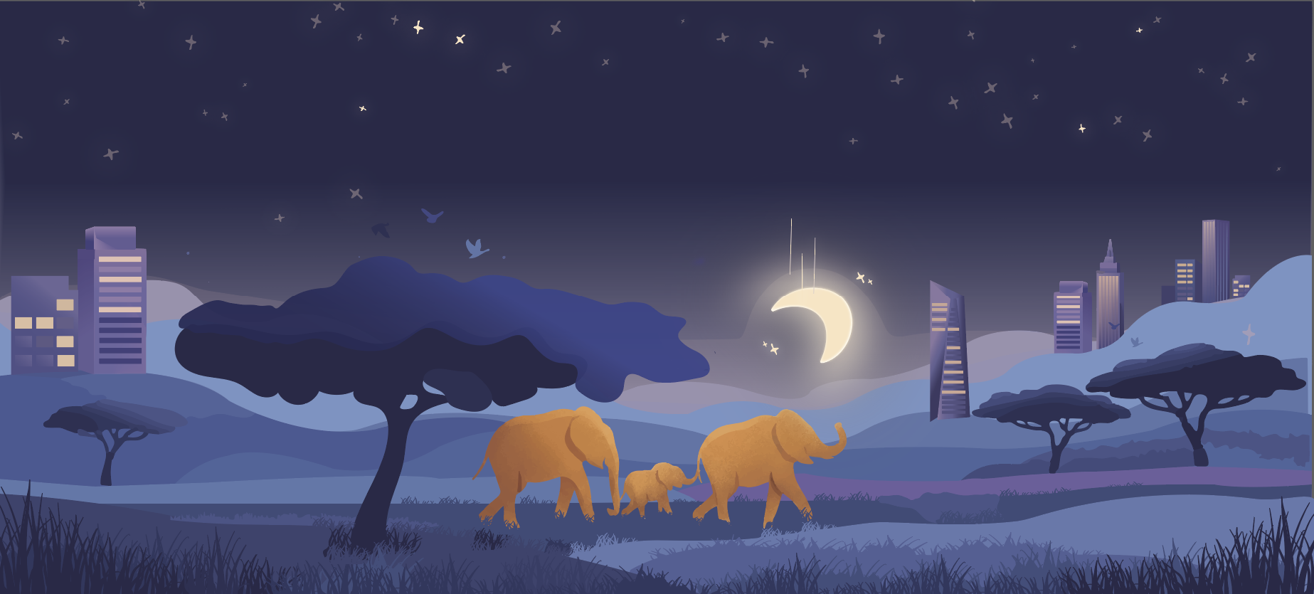 Illustration web design