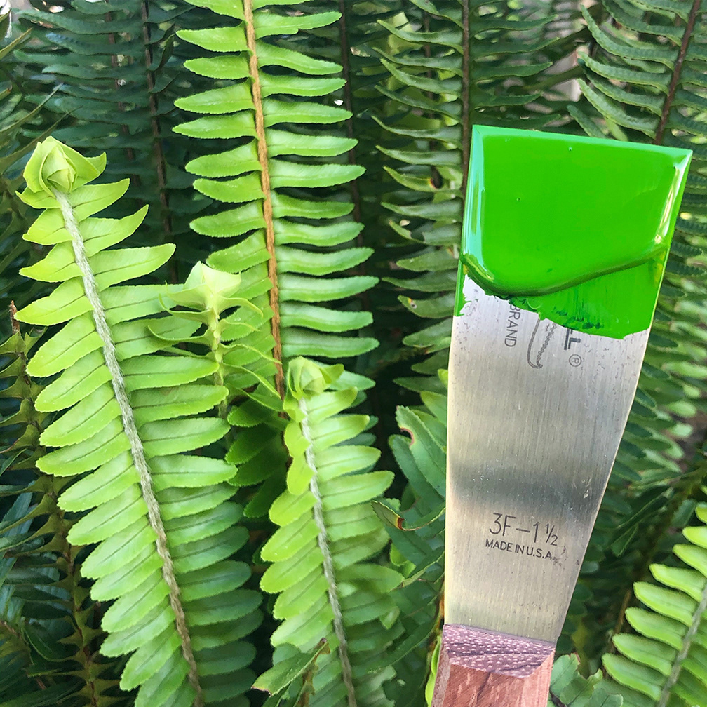 I mixed up a color somewhere in between the bright and deep green hues on this fern.πΏ Gorgeous, I love this cheery green! π