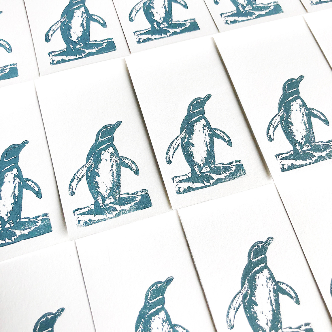 Letterpress penguin notecards.