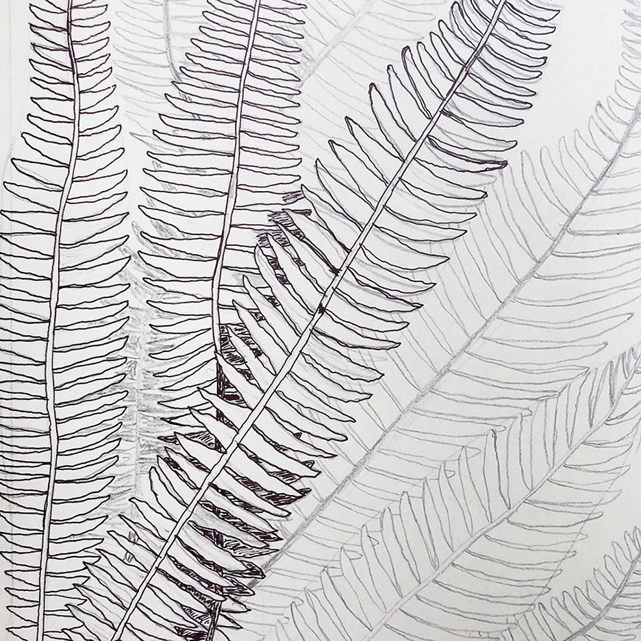 Tracing over the pencil detail with sharpie.