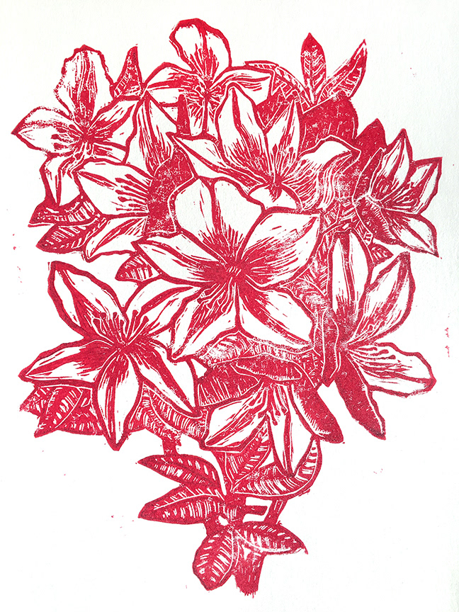 Azalea print.