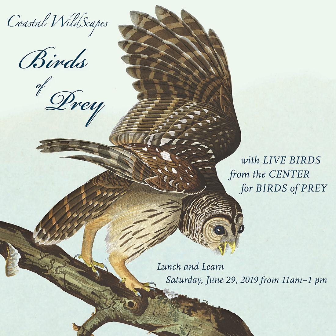 Social media ad for Coastal WildScapes' Birds of Prey event.