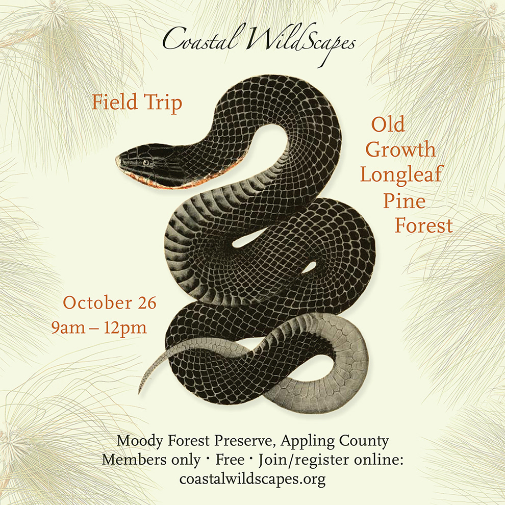 Social media ad for Coastal WildScapes' field trip.