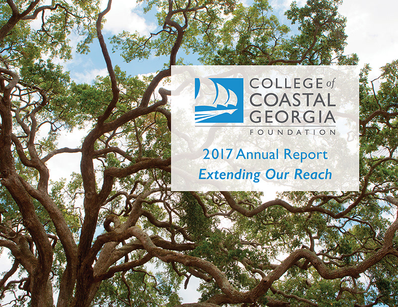 Cover design for annual report.