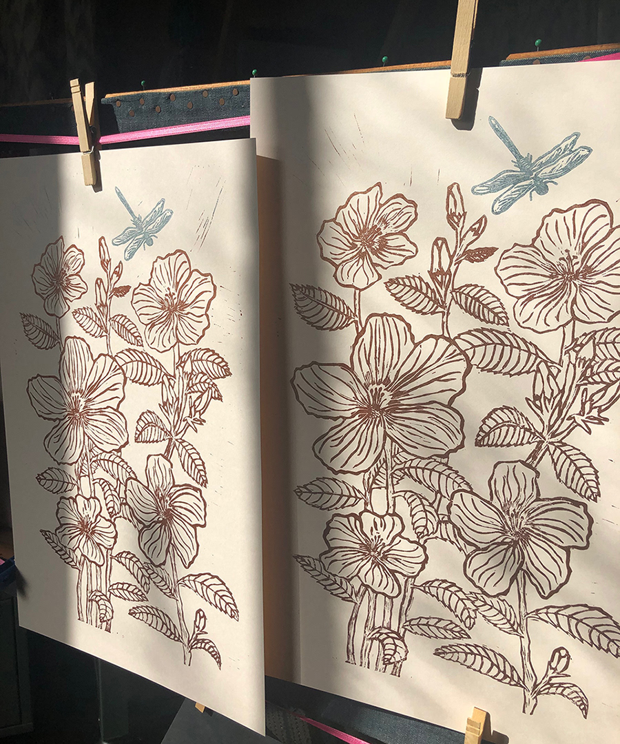 Studio light with the hibiscus drying.