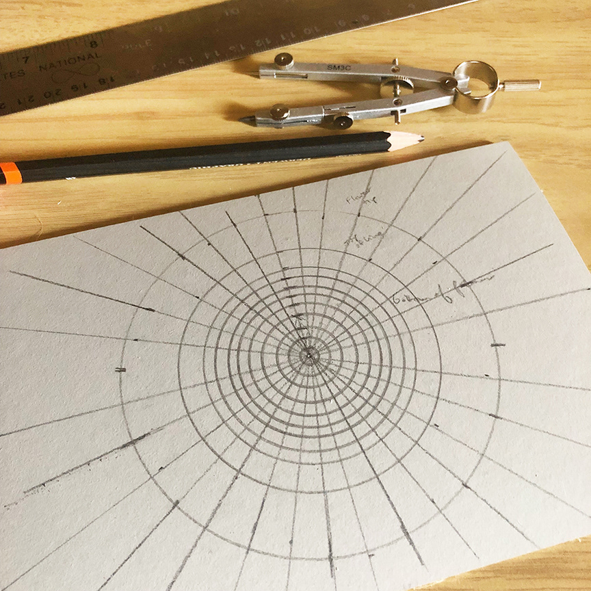 Drawing the sunflower.