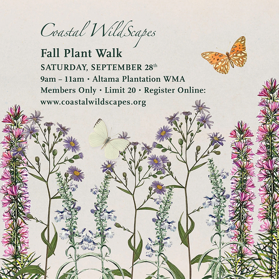 Social media ad for Fall Plant Walk.