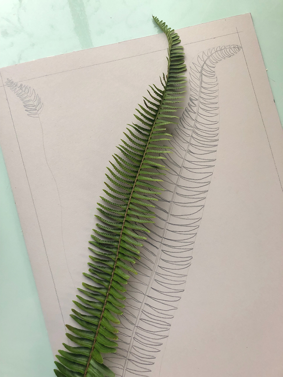 Inspiration for the carving and start of the drawing, directly on the print block for this one.