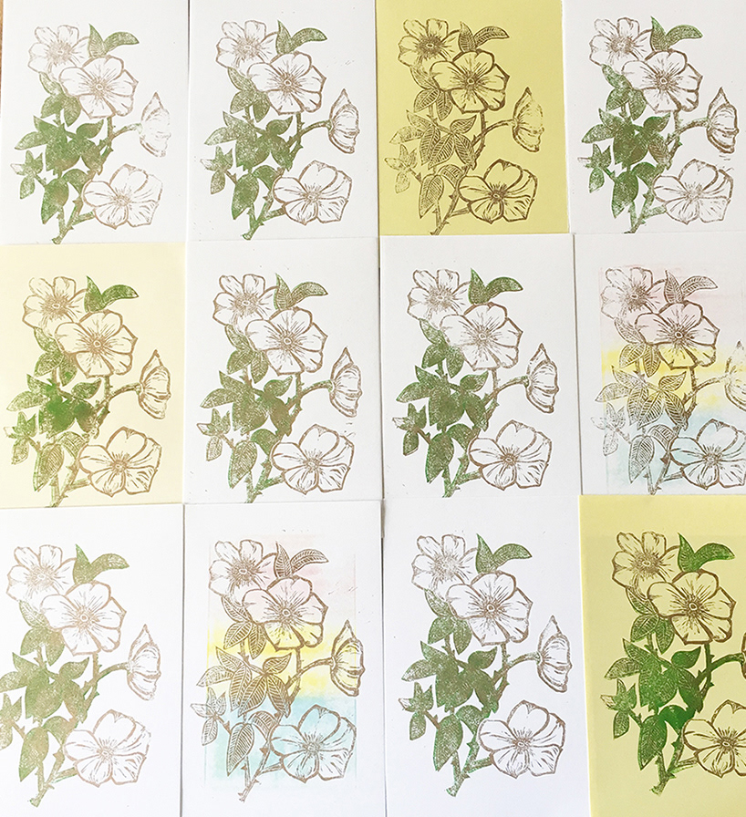 Cherokee rose prints, some two color some one color.