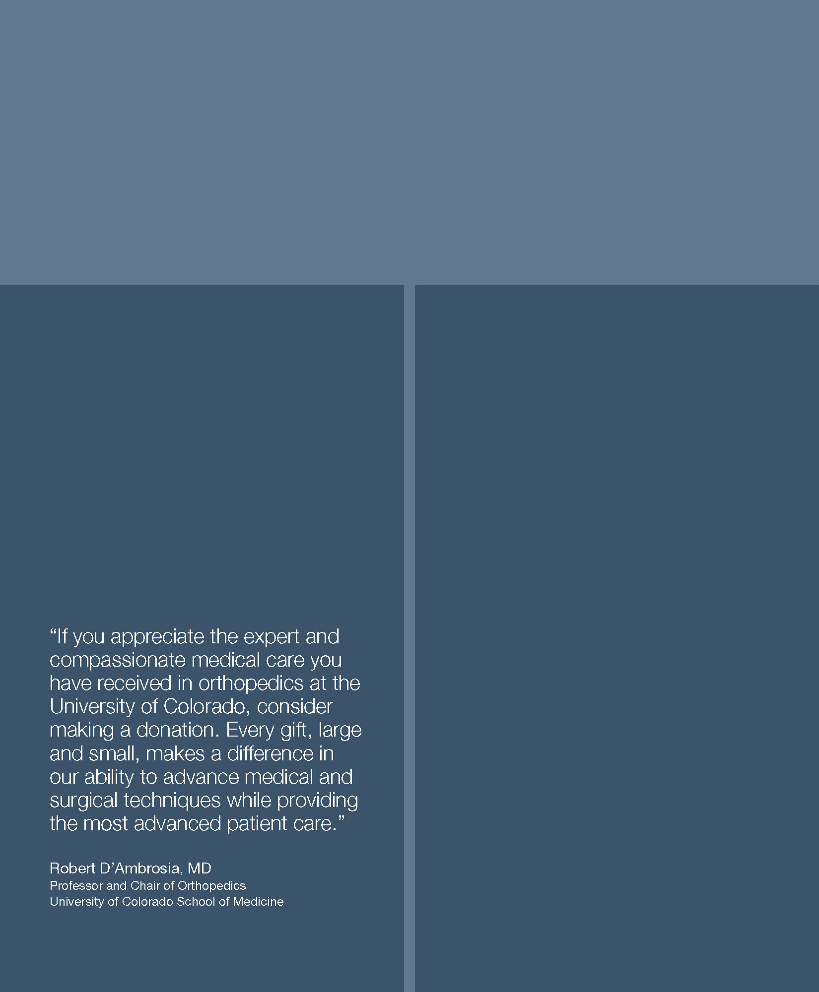 Brochure design, inside cover, darker blue are pockets to hold inserts..