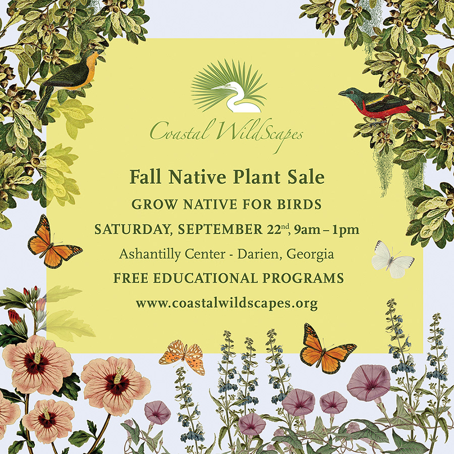 2018 Social media ad for fall plant sale.